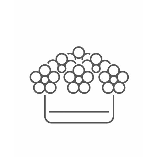 Box of flowers